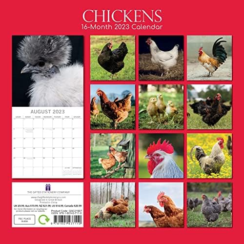 2023 Kare Duvar Takvimi, Tavuklar, 180 Hatırlatma Etiketli 16 Aylık Hayvanlar Teması (12 x 12 İnç)