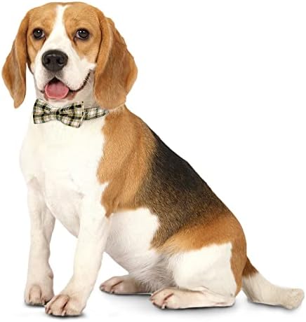 Metal Toka köpek tasması, Çıkarılabilir Ayarlanabilir papyon köpek tasması Küçük, Orta ve Büyük Köpekler için, Yumuşak