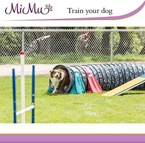 MiMu Köpek Çeviklik Eğitim Ekipmanları Kiti ile 5 Ayak Tam Boy Köpek Çeviklik Tüneli, 8 Örgü Direkleri, 1 Köpek Çeviklik