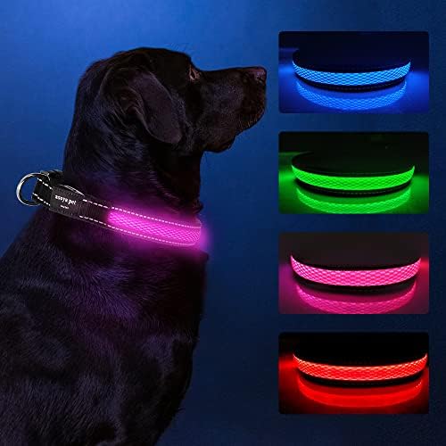 ASOYA PET LED köpek emniyet tasması ile USB Şarj Edilebilir Süper Parlak Köpek Yanıp Sönen Yaka ile 100 % Su Geçirmez,