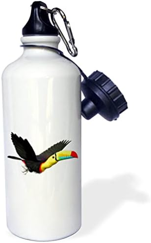 3dRose Boehm Grafik Kuş Salma Bill Toucan Kuş Su Şişeleri (wb_357655_1)