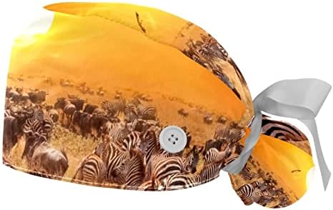 düğme kurdele ile 2 adet çalışma Kapağı Geri Güzel Gün Batımı ve Zebra At Kuyruğu Kese Şapkalar Kadınlar için