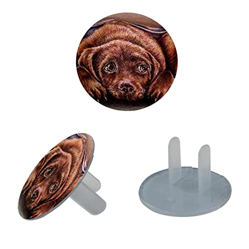 Elektrik Prizleri için Şeffaf Çıkış Kapakları (24'lü Paket) Sevimli Köpek Dielektrik Plastik Fişler, Bebek Prova Duvar