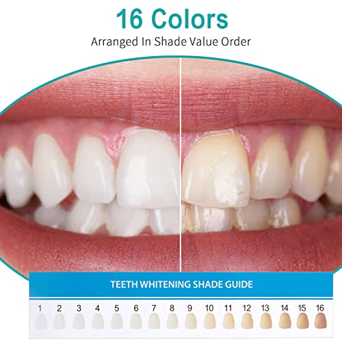 LVCHEN 25 PCS Diş Beyazlatma Gölge Kılavuzu - 16 Renk Diş Beyazlatma Gölge Grafik için Profesyonel veya Ev