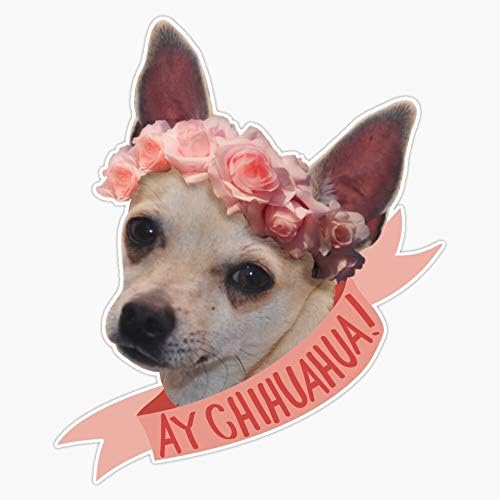 Ay Chihuahua! Vinil Su Geçirmez Sticker Çıkartma Araba Dizüstü Duvar Pencere tampon çıkartması 5