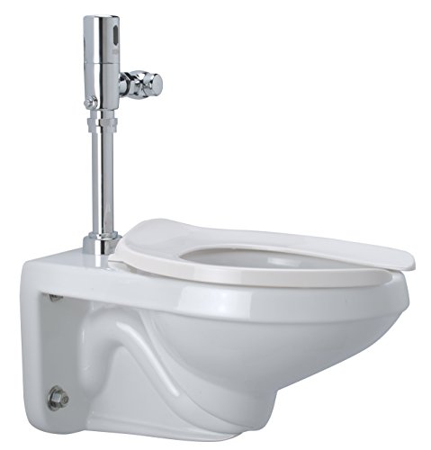 Zurn Z5615.213.00.00.00 1.28 gpf Duvara Asılı Uzatılmış Tuvalet Sistemi Açıkta Kalan Pil Tahliye Vanası